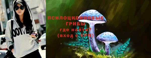 винт Елизово