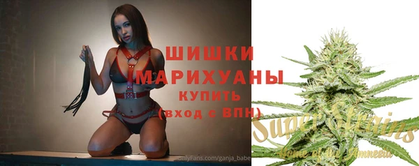 винт Елизово