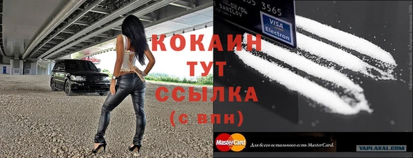 винт Елизово
