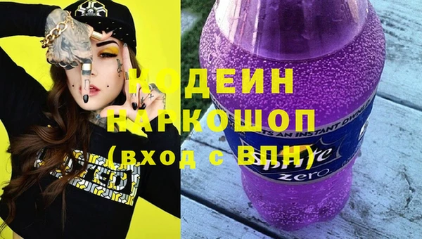 винт Елизово