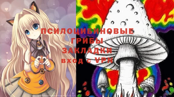 MDMA Ельня