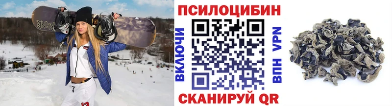 Купить где  Тюкалинск  Галлюциногенные грибы мухоморы 